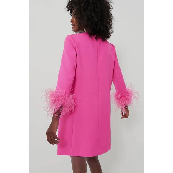 Tuckernuck Women's Hot Pink Feather Mod Ellie Mini Dress Size M Long Sleeve - Picture 3 of 10